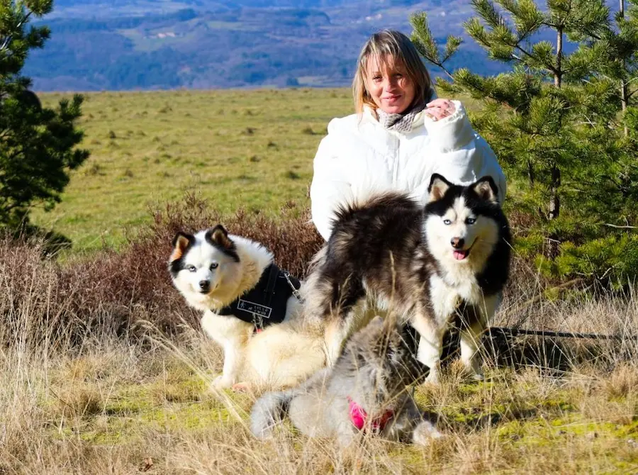 engagement qualite pomsky