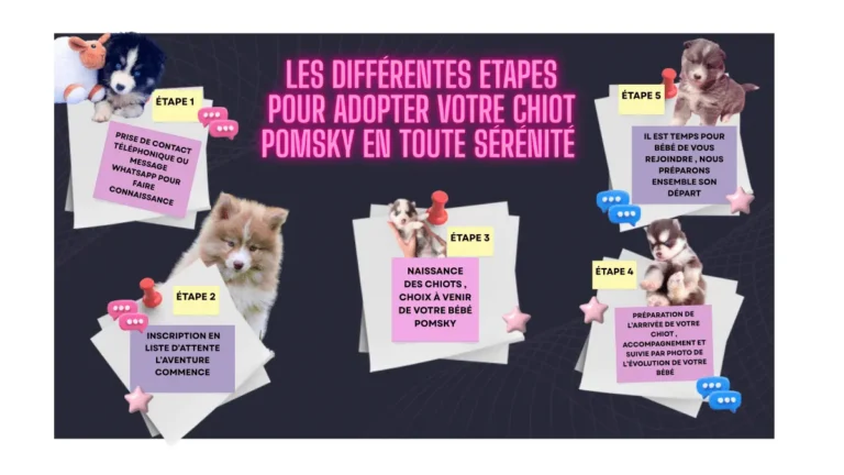 Pourquoi choisir un éleveur professionnel pour l&rsquo;adoption de votre chien ?