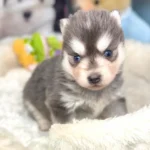 lupa