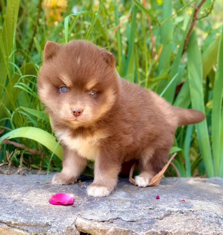 winnie