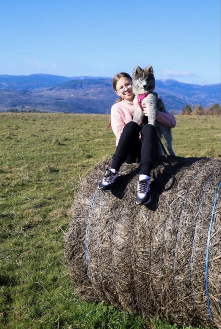 Le Pomsky et les enfants : le compagnon idéal pour la vie de famille ?
